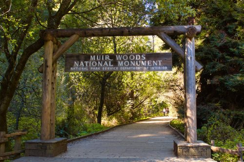 Wooden entrance sign for Muir Woods National Monument, surrounded by lush greenery and a pathway leading into the park.