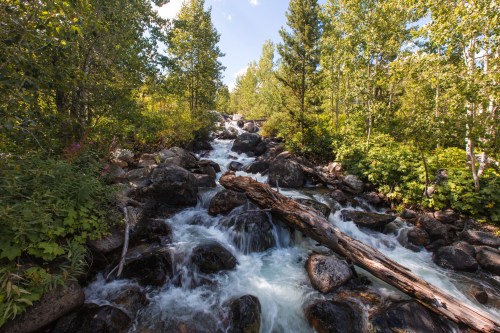 A serene stream flows over rocks, surrounded by lush greenery and trees under a clear blue sky.
