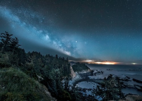 A serene coastal scene at night, featuring the Milky Way over a rocky shoreline and lush trees.