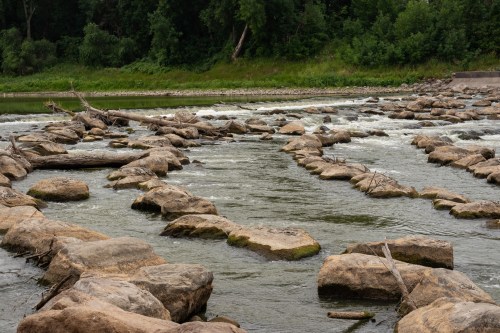 A river with smooth stones and logs, surrounded by lush greenery and trees along the banks.