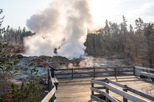 Steam rises from geothermal features in a forested area, with a wooden walkway in the foreground.