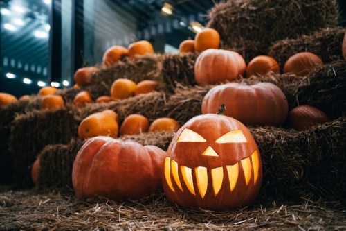 A carved pumpkin with a menacing face sits among hay and uncarved pumpkins, creating a festive Halloween scene.