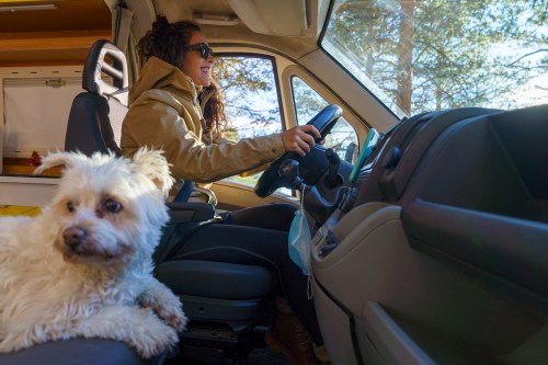 A woman drives a van with a small dog resting beside her, enjoying a scenic view through the window.