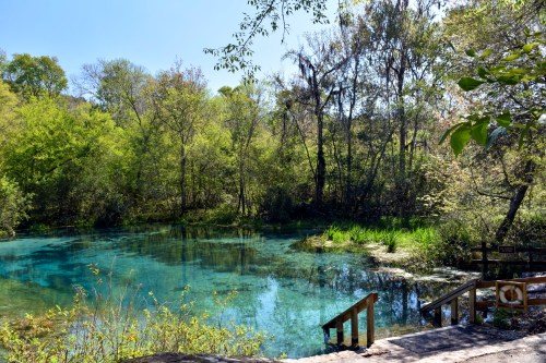 A serene pond surrounded by lush greenery and trees under a clear blue sky.