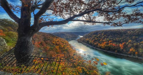 A scenic view of a river winding through colorful autumn foliage, framed by a large tree under a cloudy sky.