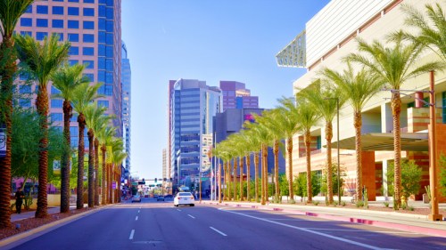 A sunny city street lined with palm trees and modern buildings in the background.