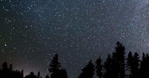 A starry night sky filled with stars and the Milky Way, silhouetted by dark tree silhouettes below.