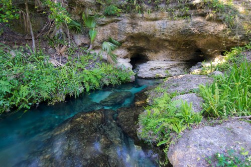 A serene stream flows through lush greenery and rocky formations, with a cave entrance visible in the background.