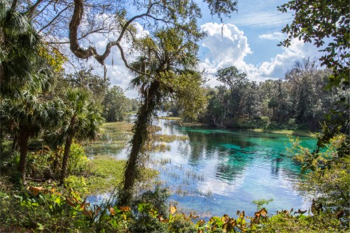 A serene river scene surrounded by lush greenery and trees under a bright blue sky with fluffy clouds.