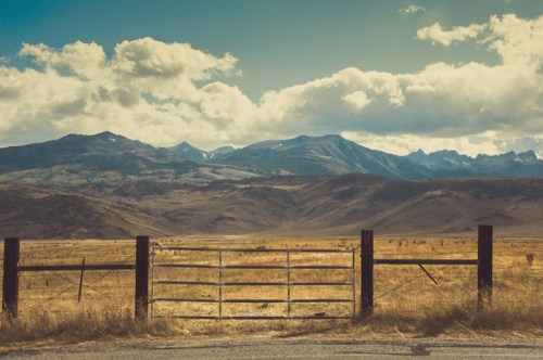 A rustic gate opens to a vast, golden field with mountains and clouds in the background under a blue sky.