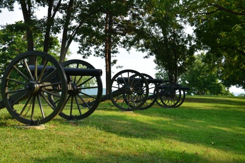 A row of historic cannons on a grassy field, surrounded by trees and a clear sky in the background.