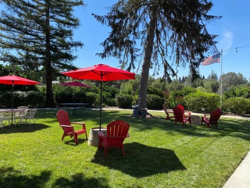 A sunny outdoor area with red umbrellas, Adirondack chairs, and a large tree, featuring a flag in the background.