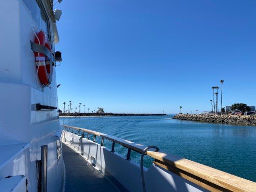 View from a boat, showing calm waters, palm trees, and a clear blue sky along the harbor entrance.