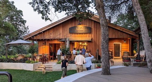 A rustic winery building with people gathered outside, surrounded by trees and outdoor seating. Dogs are present.