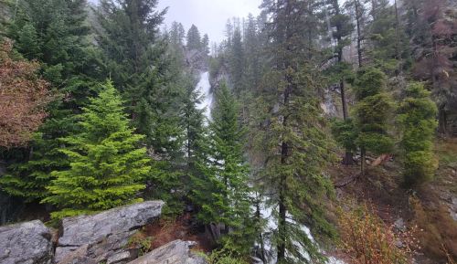 A lush forest with tall green trees surrounding a cascading waterfall in a misty, serene landscape.