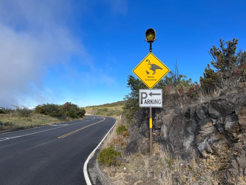 A road sign indicating a bird crossing, with a parking sign nearby, set against a clear blue sky and green hillside.
