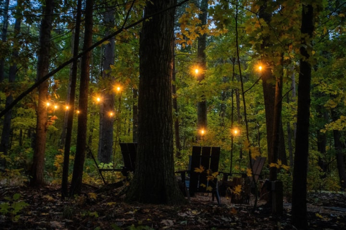 Cozy outdoor seating area in a forest, illuminated by string lights among colorful autumn leaves.