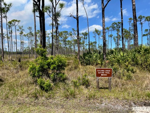 A sign for Kitching Creek Nature Trail surrounded by tall trees and lush greenery under a blue sky.