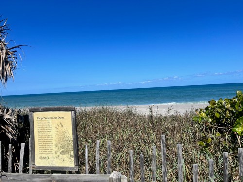 A beach scene with a clear blue sky, gentle waves, and a sign about protecting dunes in the foreground.