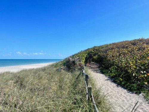 A sandy path leads through tall grass and shrubs to a serene beach under a clear blue sky.