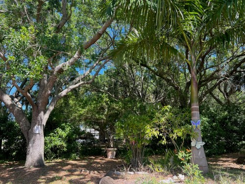 Lush greenery with tall trees and a palm, featuring colorful decorations among the foliage under a clear blue sky.