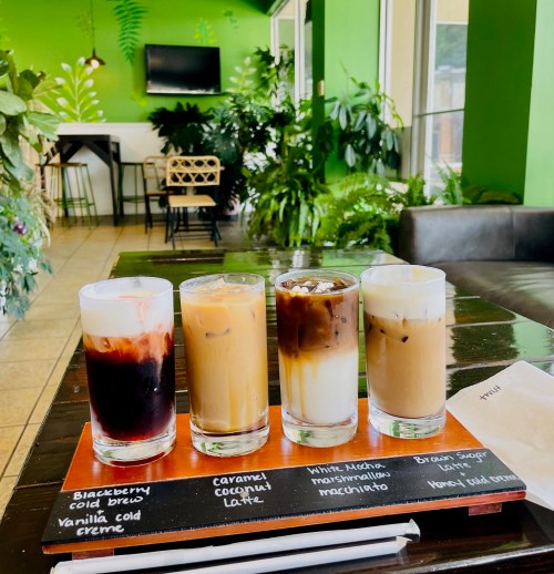 Four iced coffee drinks in clear glasses on a wooden tray, surrounded by green plants in a cozy café setting.