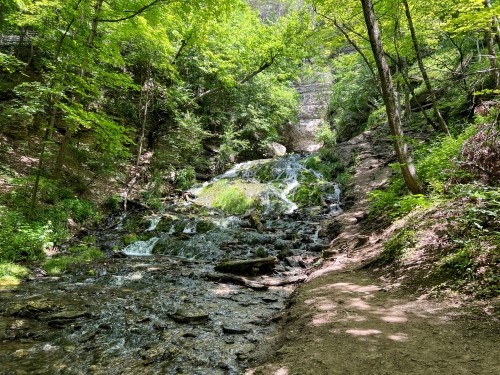 A serene forest scene featuring a cascading waterfall surrounded by lush greenery and a rocky path.