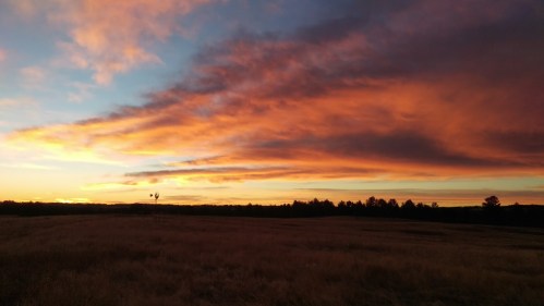 A vibrant sunset with orange and purple clouds over a grassy field, silhouetted trees, and a windmill in the distance.
