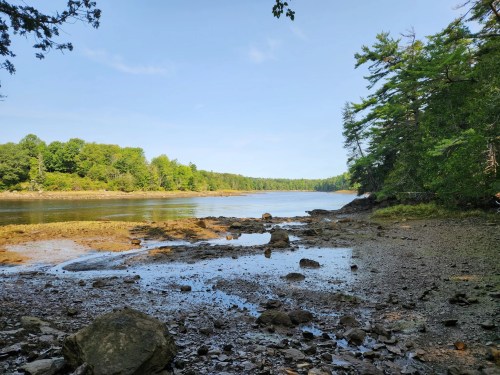 A serene riverbank scene with calm water, rocky shore, and lush green trees under a clear blue sky.
