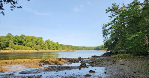 A serene river scene with rocky shorelines, lush green trees, and a clear blue sky reflecting on the water.