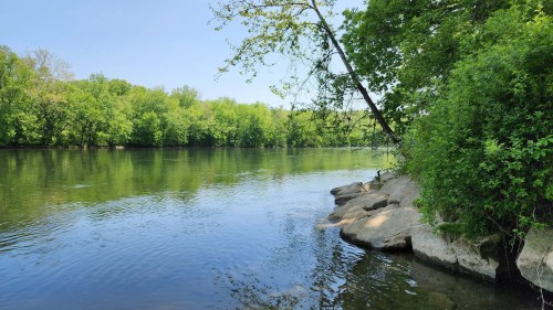 A serene river scene with lush green trees lining the banks and smooth rocks along the water's edge under a clear blue sky.