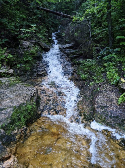 A serene stream flows over rocky terrain, surrounded by lush green foliage in a tranquil forest setting.