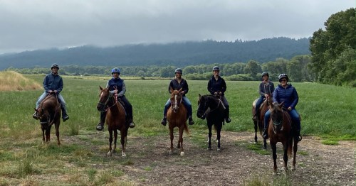 A group of six people on horseback, standing in a grassy field with trees and mountains in the background.