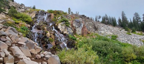 A serene waterfall cascades down rocky terrain, surrounded by lush greenery and tall trees under a cloudy sky.
