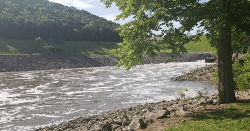 A river flows past a rocky shore, surrounded by green hills and trees under a clear blue sky.