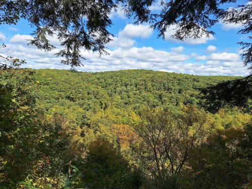 A scenic view of a lush green forest under a partly cloudy sky, with hints of autumn colors in the trees.