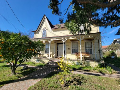 A charming yellow house with a porch, surrounded by greenery and orange trees under a clear blue sky.