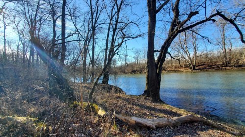 A serene riverbank scene with bare trees and a calm water surface under a clear blue sky.