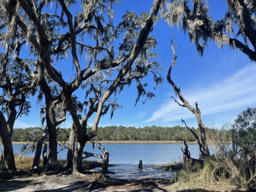A serene lakeside scene framed by moss-covered trees under a clear blue sky.