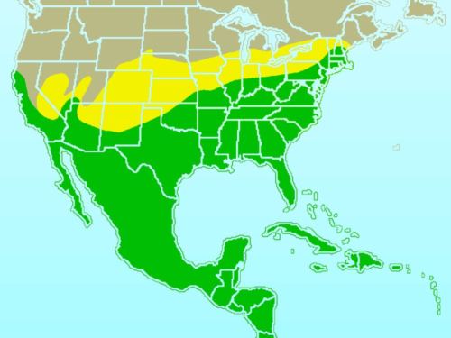 Map showing regions of the U.S. and Mexico, with areas shaded in green, yellow, and light brown, indicating different zones.