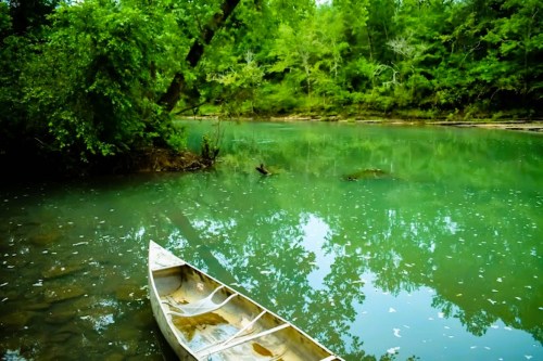 A serene river scene with a canoe on the water, surrounded by lush green trees and reflections in the calm water.
