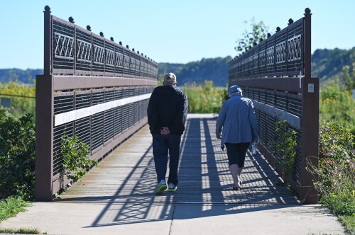 Two people walk side by side on a wooden bridge surrounded by greenery on a sunny day.