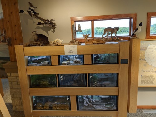 Display of various animal habitats in a wooden exhibit, featuring taxidermy and live animals behind glass.