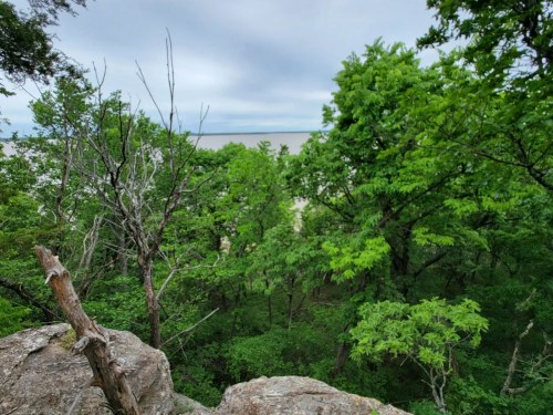 A view from a rocky outcrop overlooking a lush green forest and a calm body of water under a cloudy sky.