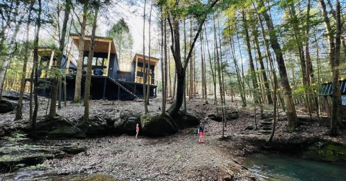 A modern cabin in the woods, surrounded by trees, with two people standing near a stream in the foreground.