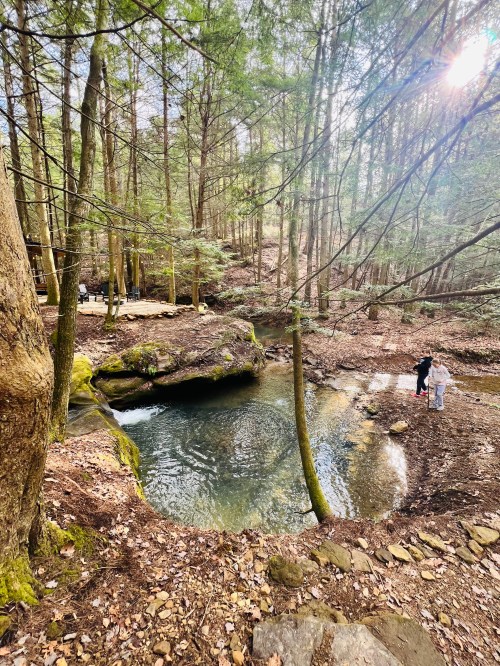 A serene forest scene with a small pond surrounded by trees, two people standing near the water's edge.