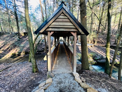A wooden bridge with a sloped roof, surrounded by trees and a stream, leading into a serene forest setting.