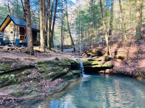 A serene forest scene featuring a small cabin beside a clear stream with a gentle waterfall and lush greenery.
