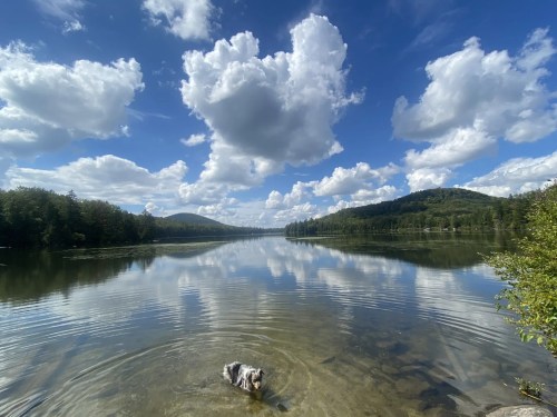 A serene lake scene with fluffy clouds reflecting on the water, surrounded by green hills and a dog wading in the shallows.