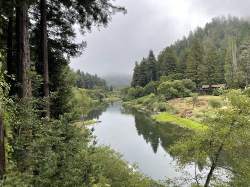 A serene river flows through a lush green landscape, surrounded by tall trees and misty mountains in the background.